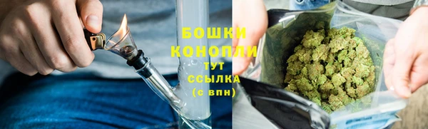 гашик Вуктыл